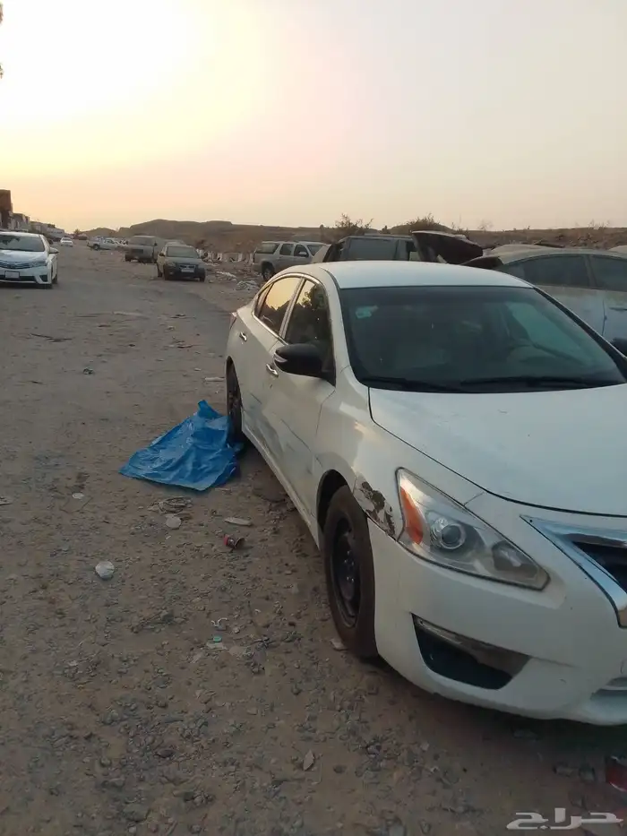 التيما 2013 2