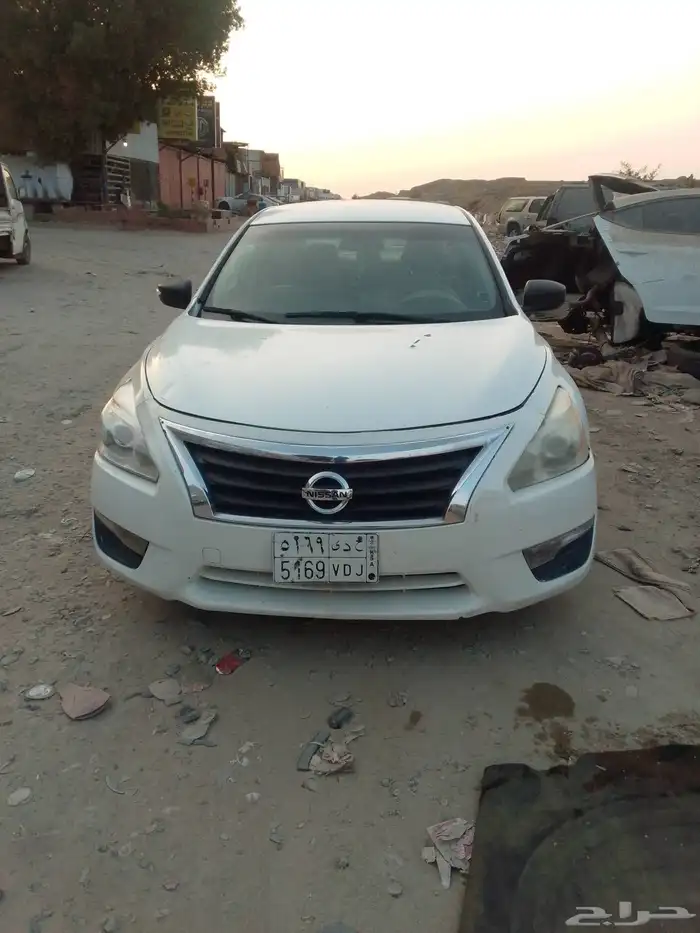 التيما 2013 0