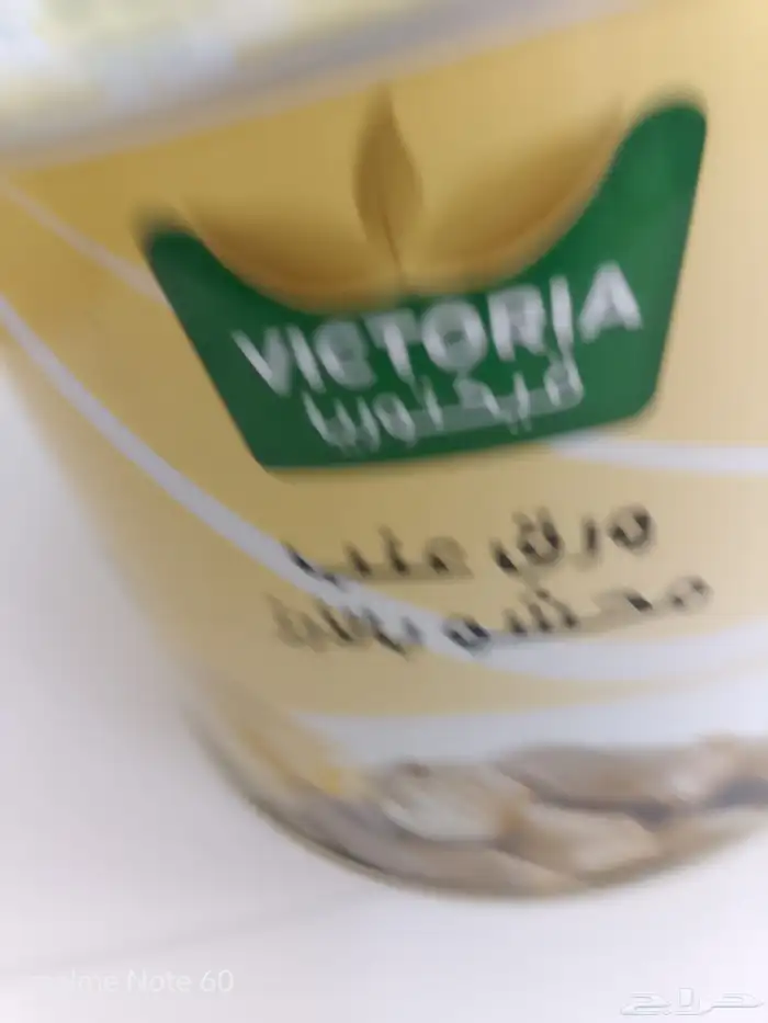 ورق عنب محشي بالارز 6