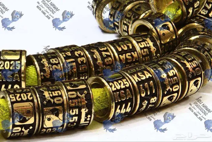 دبل حجول اساور لجميع الطيور 2
