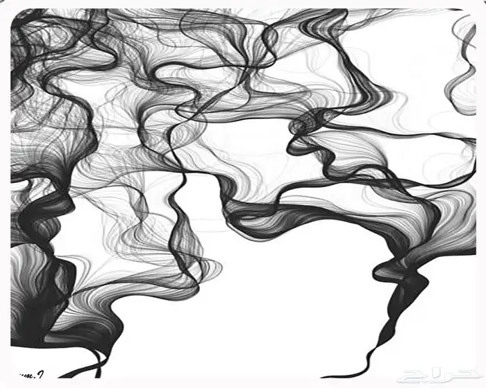 لوحات كانفس قماش 0