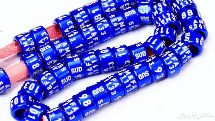 تخفيض لفترة محدودة حجول الحمام و العصافير 4