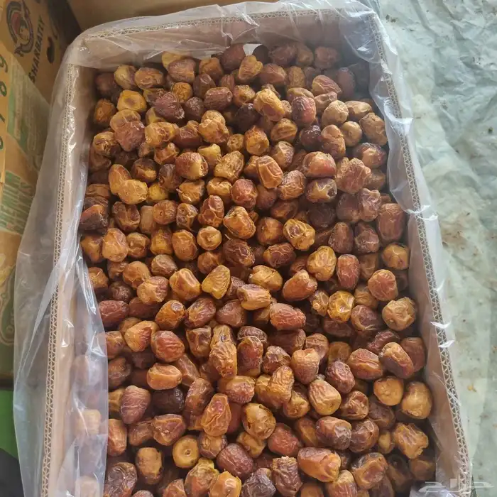 سكري قشر فاخر 6