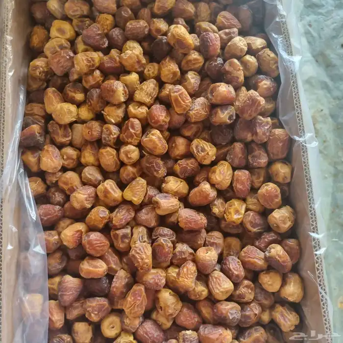 سكري قشر فاخر 7