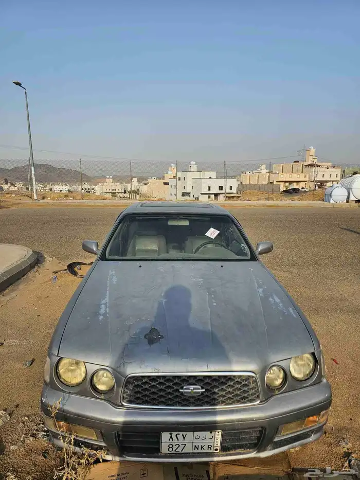 نسيان جلوريا لوحة مميزة 1