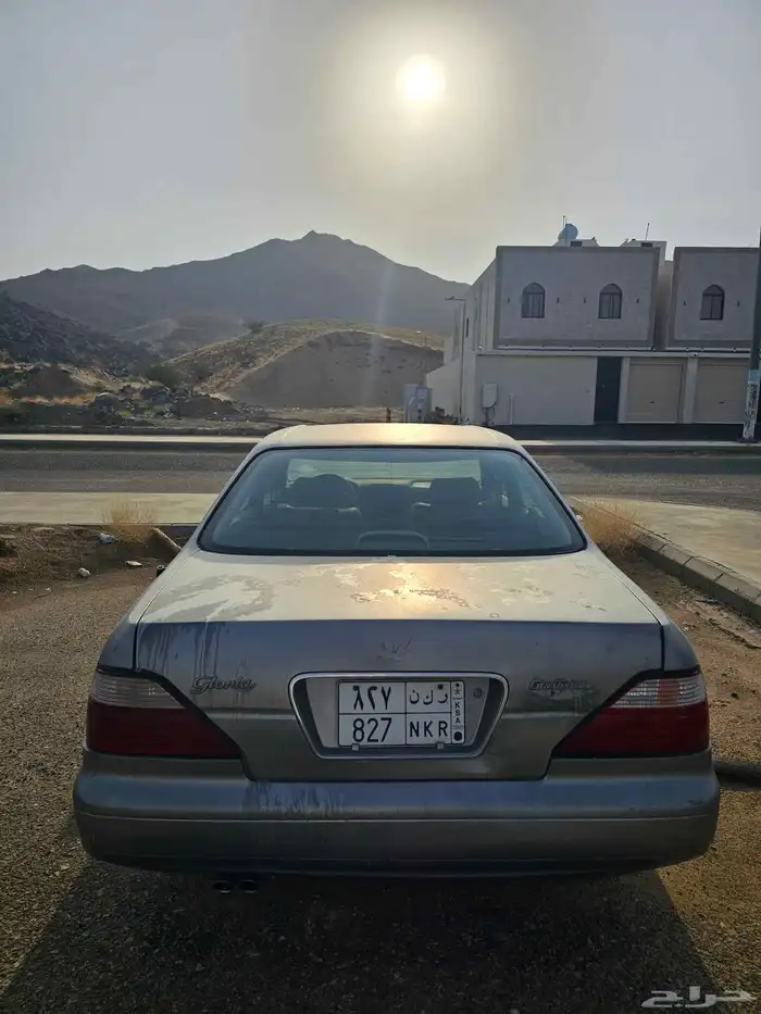 نسيان جلوريا لوحة مميزة 3