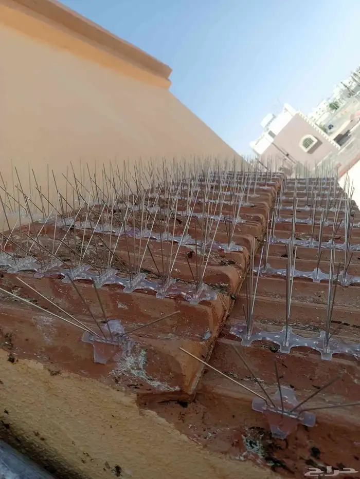 طارد الطيور من النوافذ 2