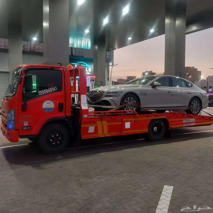 سطح القوز القنفد حلي 0