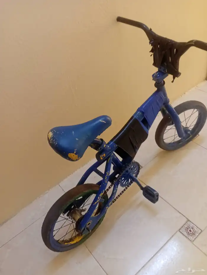 سيكل 1