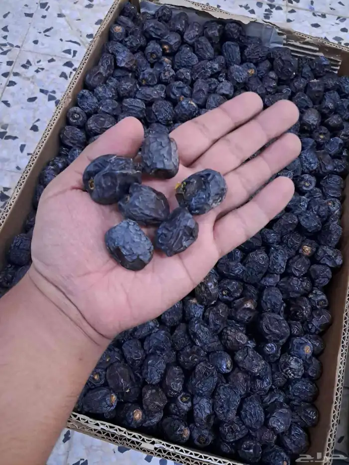 عجوة سعر 12 كمية 1500 كرتون 1