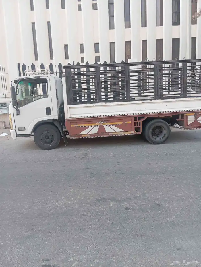 دينا جاهزة لتحميل وتوصيل الأغراض 0