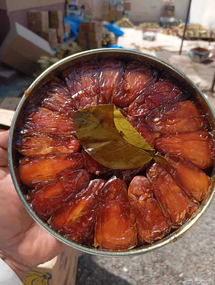 تمور صفري بيشة 1