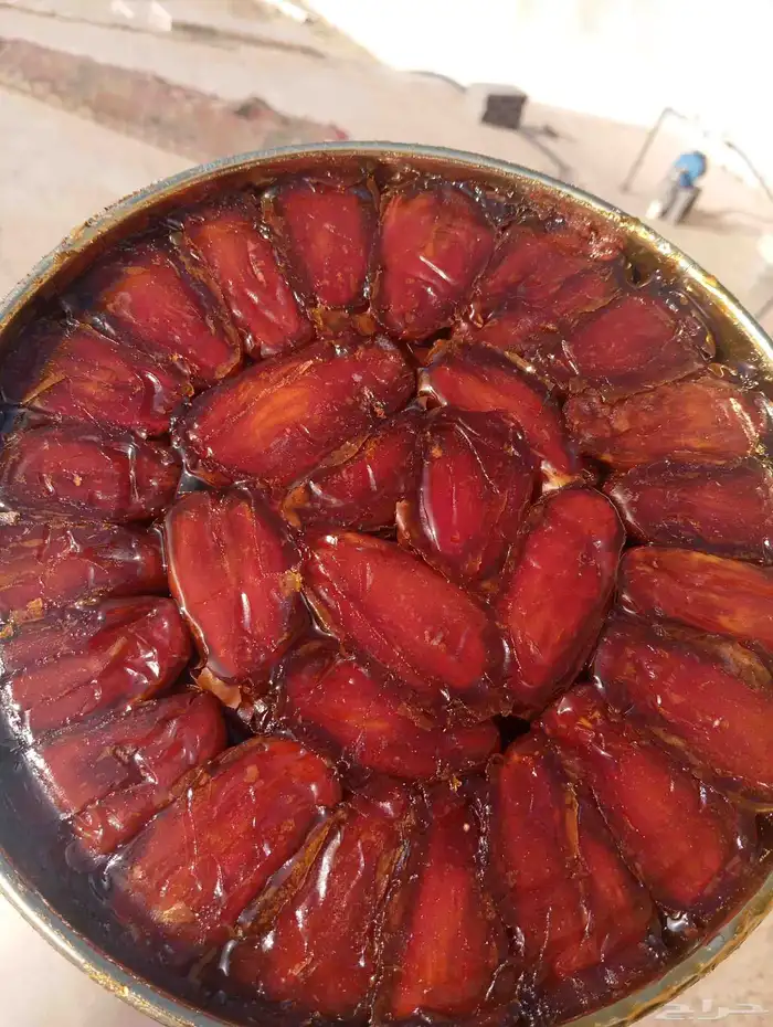 تمور صفري بيشة 7