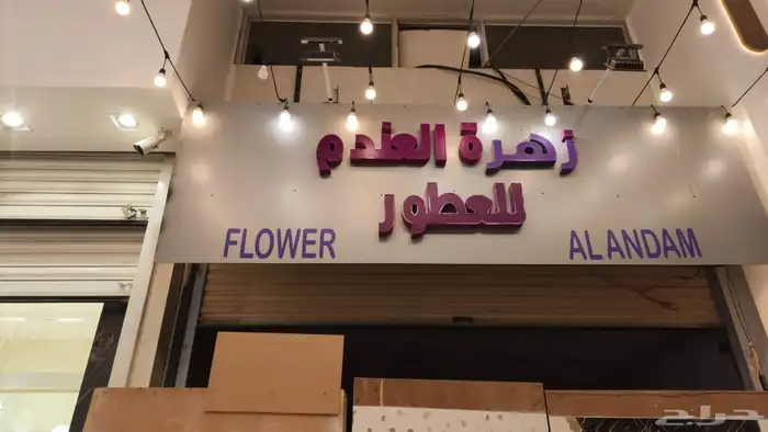 خطاط 4