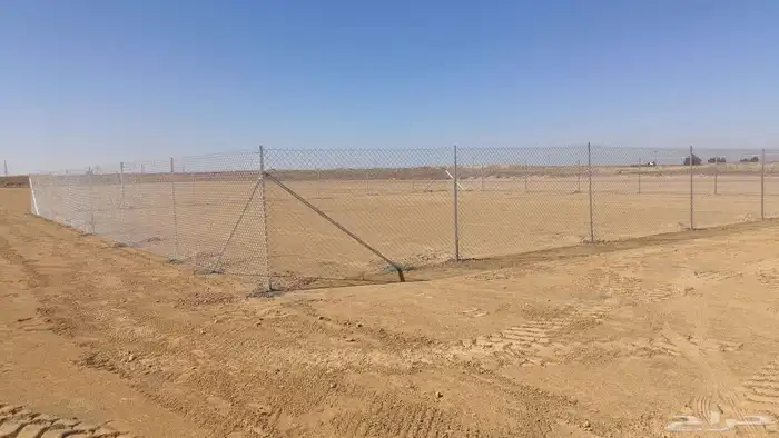 نخل وشبك 3
