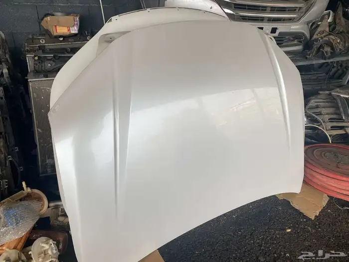 كبوت كامري 2025 1