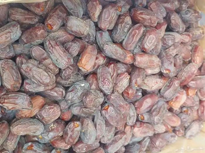 الخضري اطيب والوصط 2