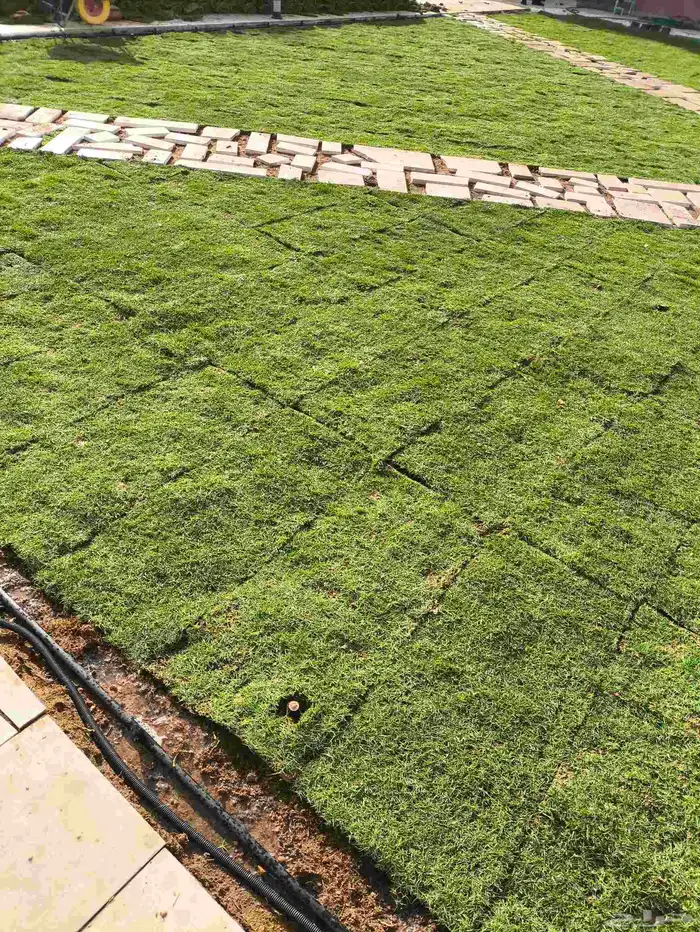 تنسيق حدائق 1