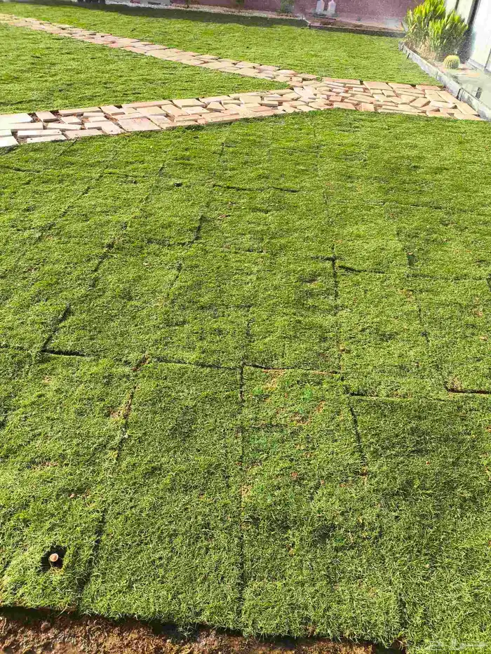 تنسيق حدائق 0