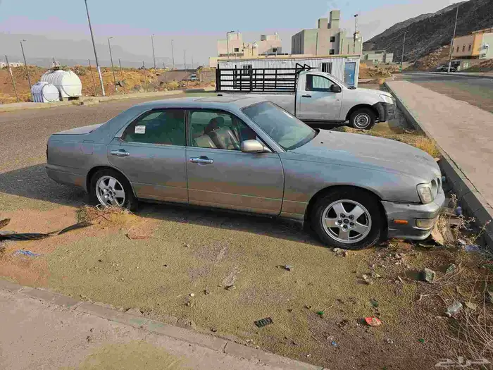 نسيان جلوريا لوحة مميزة 2