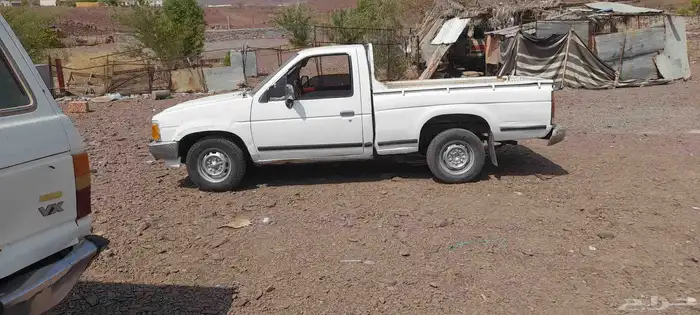 ددسن 91 2