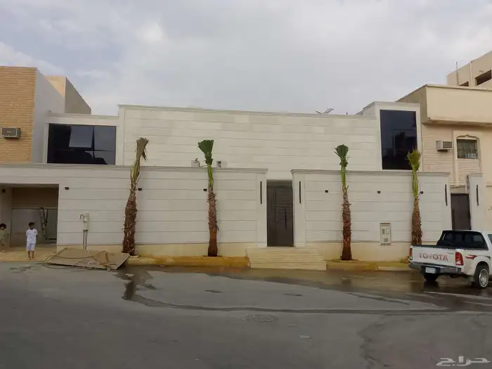نخل واشنطن زينة 4