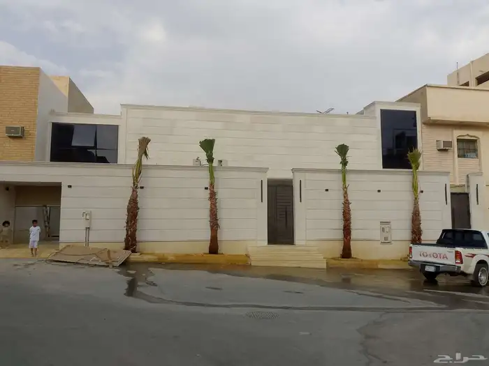 نخل واشنطن زينة 3