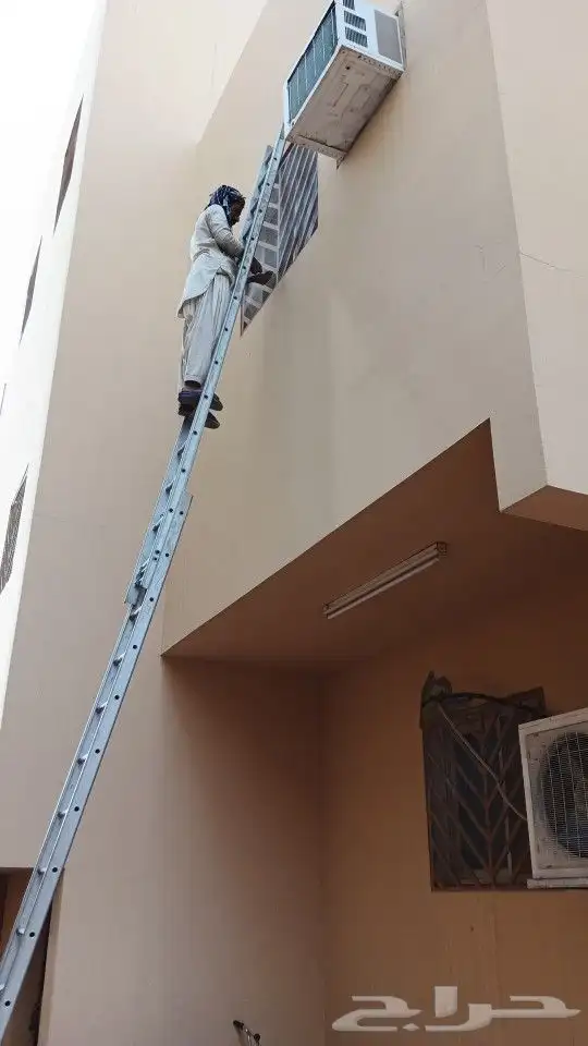 طارد الحمام طيور بريده 0