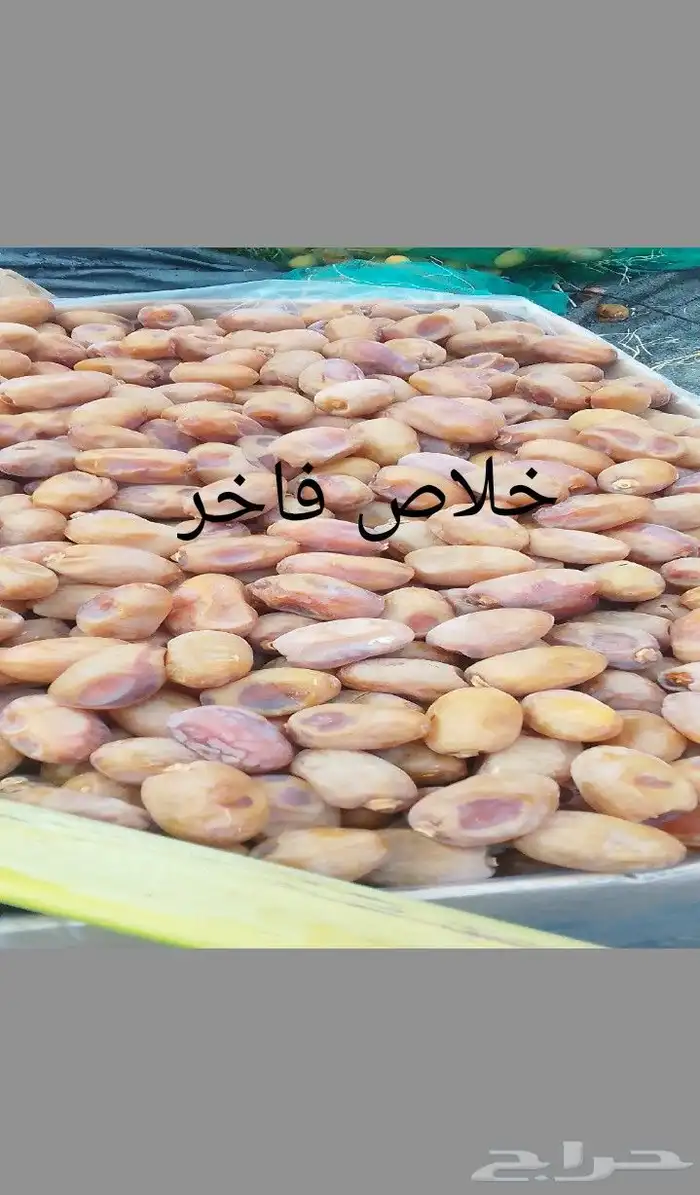 خلاص فاخر حبه كبير 1