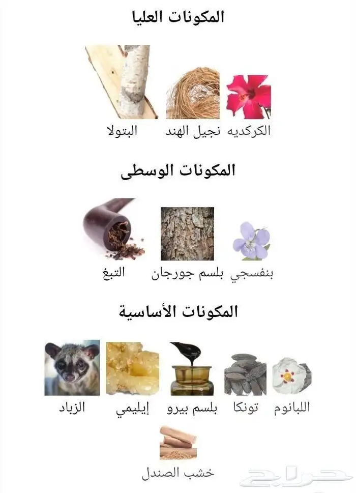 عطر رامون بيجار دريم هاشمي 2