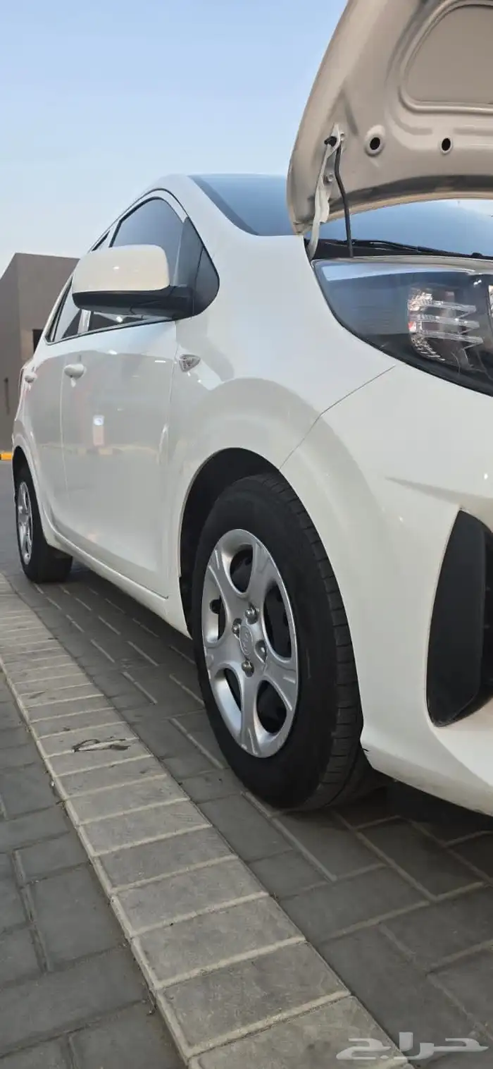 كيا بيكانتو وارد كوريا شبة جديد ممشى 40 ألف 1