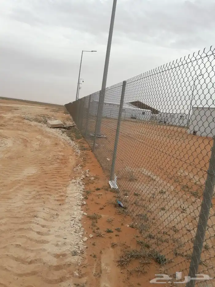 مقول نخل وشبوك مزارعه مستودعات 1