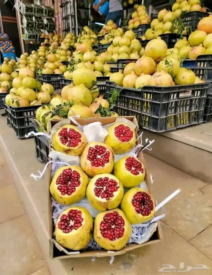 فواكه الطائف 0