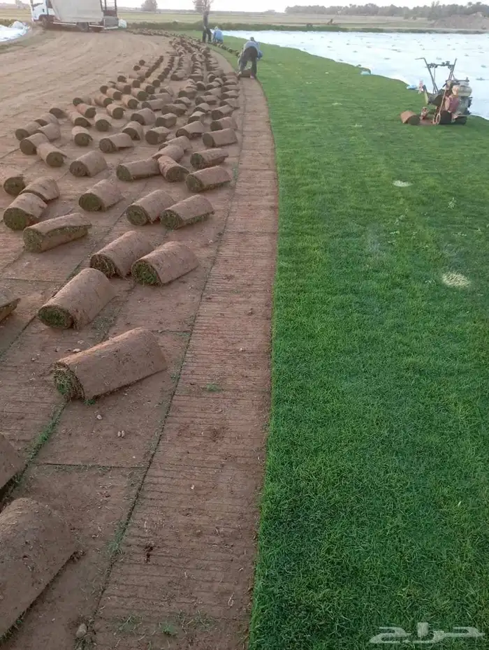 تنسيق حدائق 3