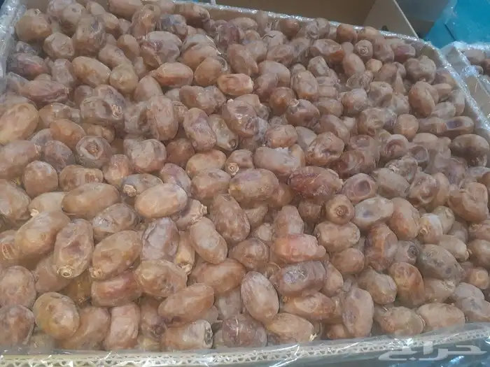 خلاص اشيقر 0