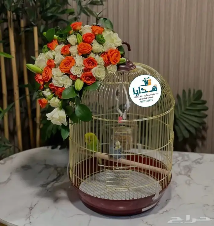 توصويل  هدايا ابها هدايا خميس_مشيط هدايا_احدرفيده الواديبن 1