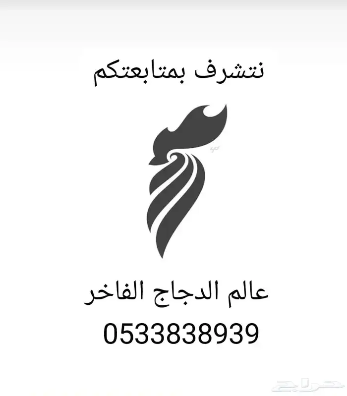 دجاج جبنيز قزم مميز 2