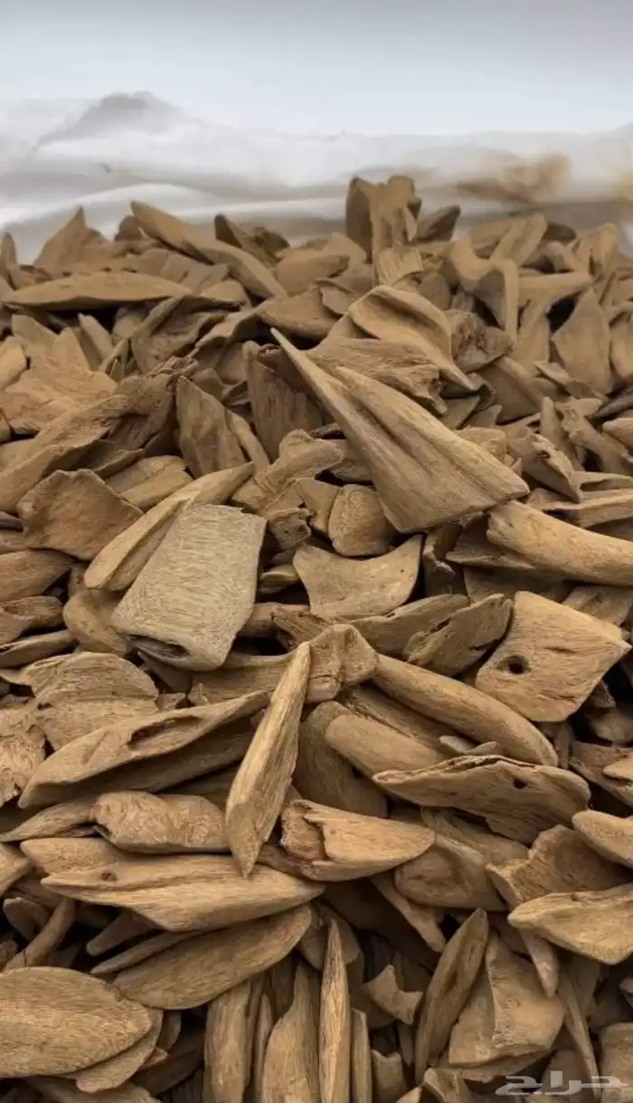 عود مروكي كسر مباخر 0