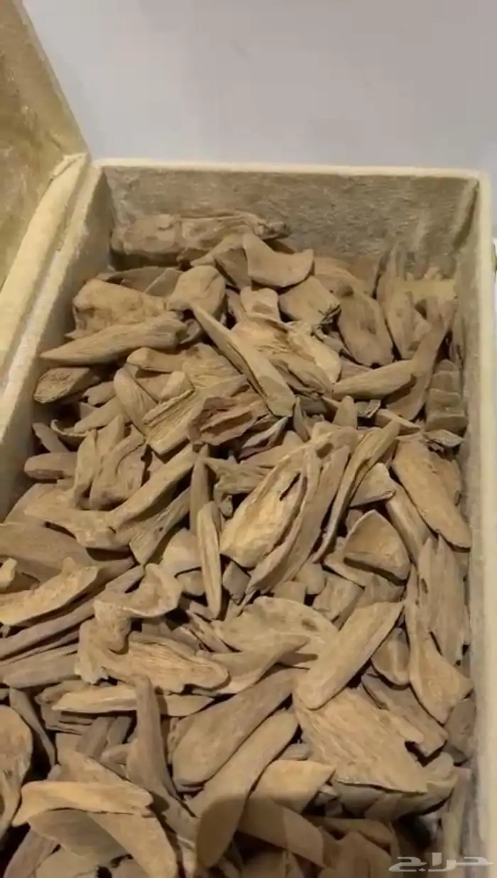 عود مروكي كسر مباخر 1