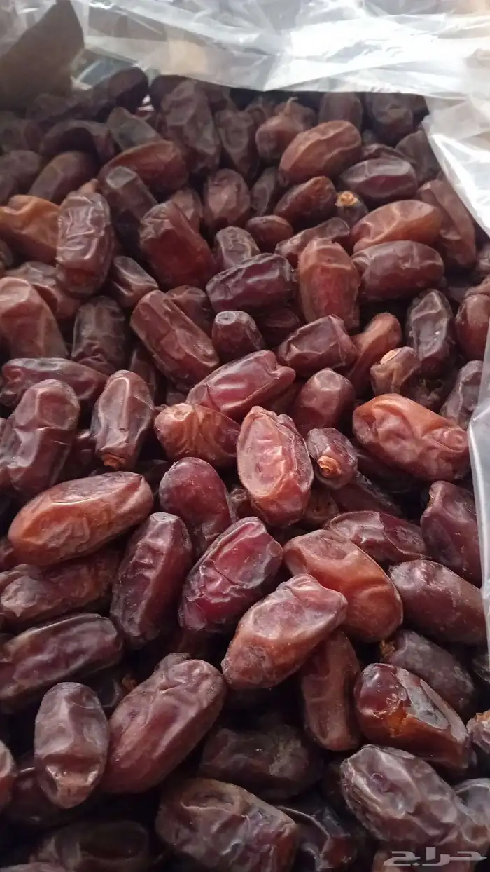 تمر خضري تقريب 20 طن 0