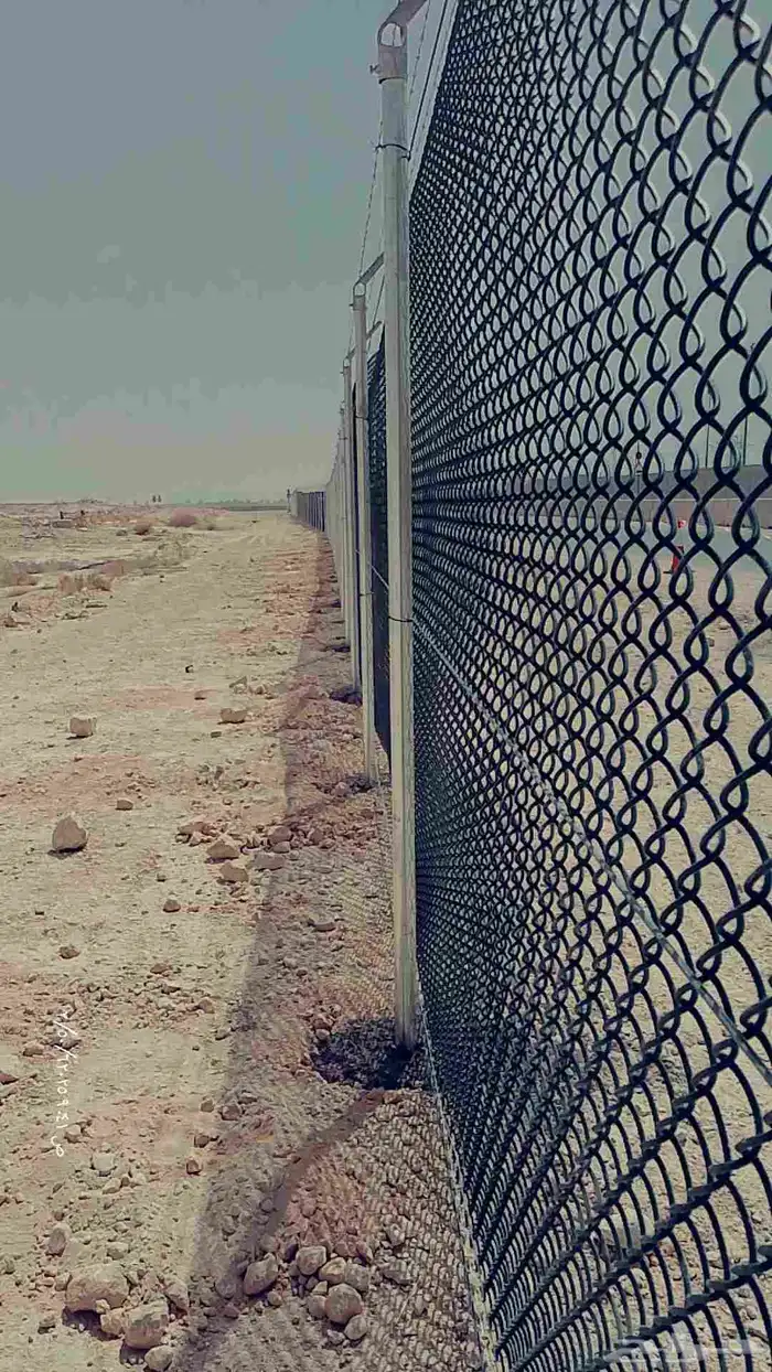 أنا مقوال شبوك جميع انواع الشبوك متواجد في تبوك 4