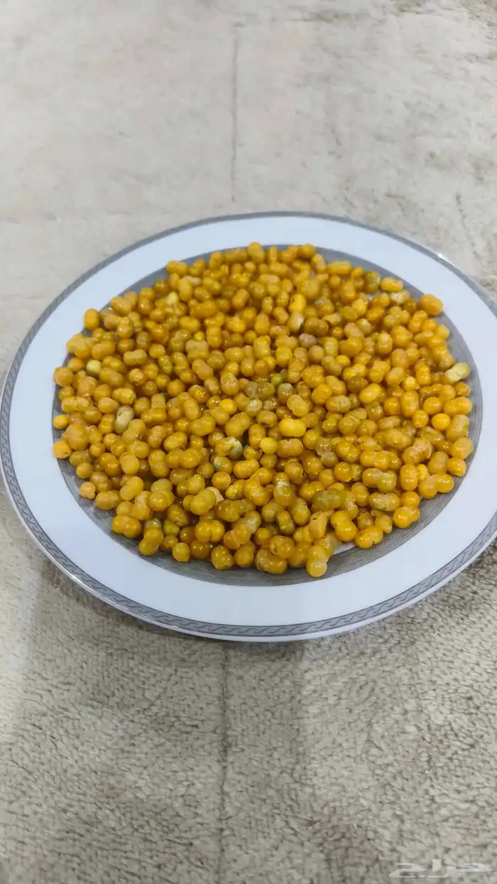 بذور شجر النبع 0