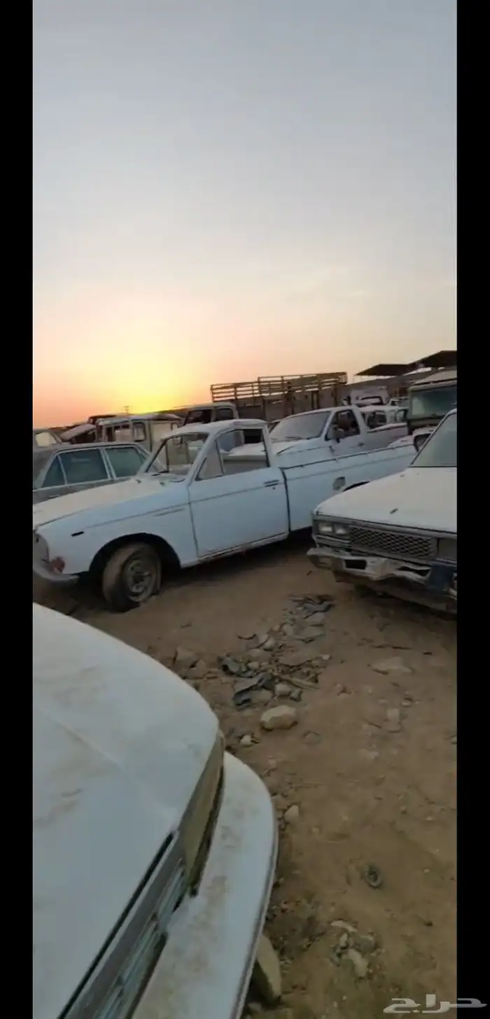 الصفقة الرابحة 17