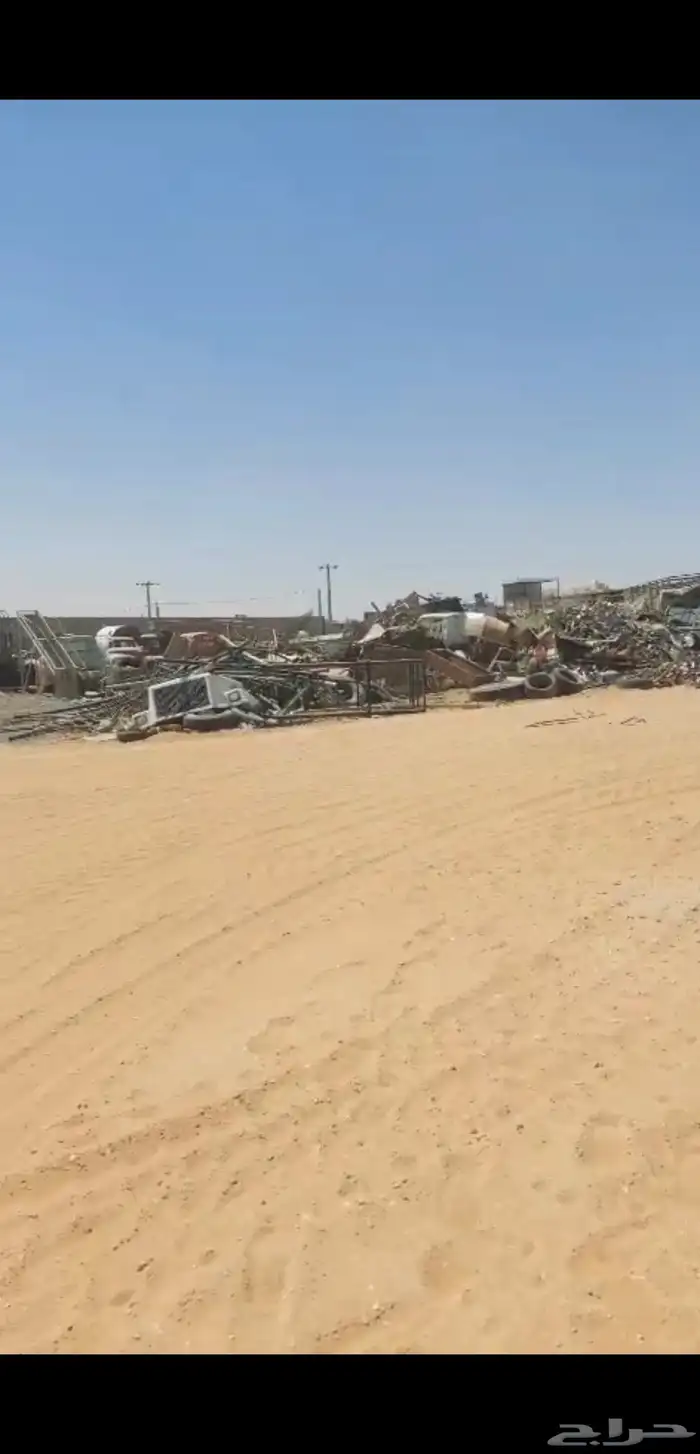 الصفقة الرابحة 31