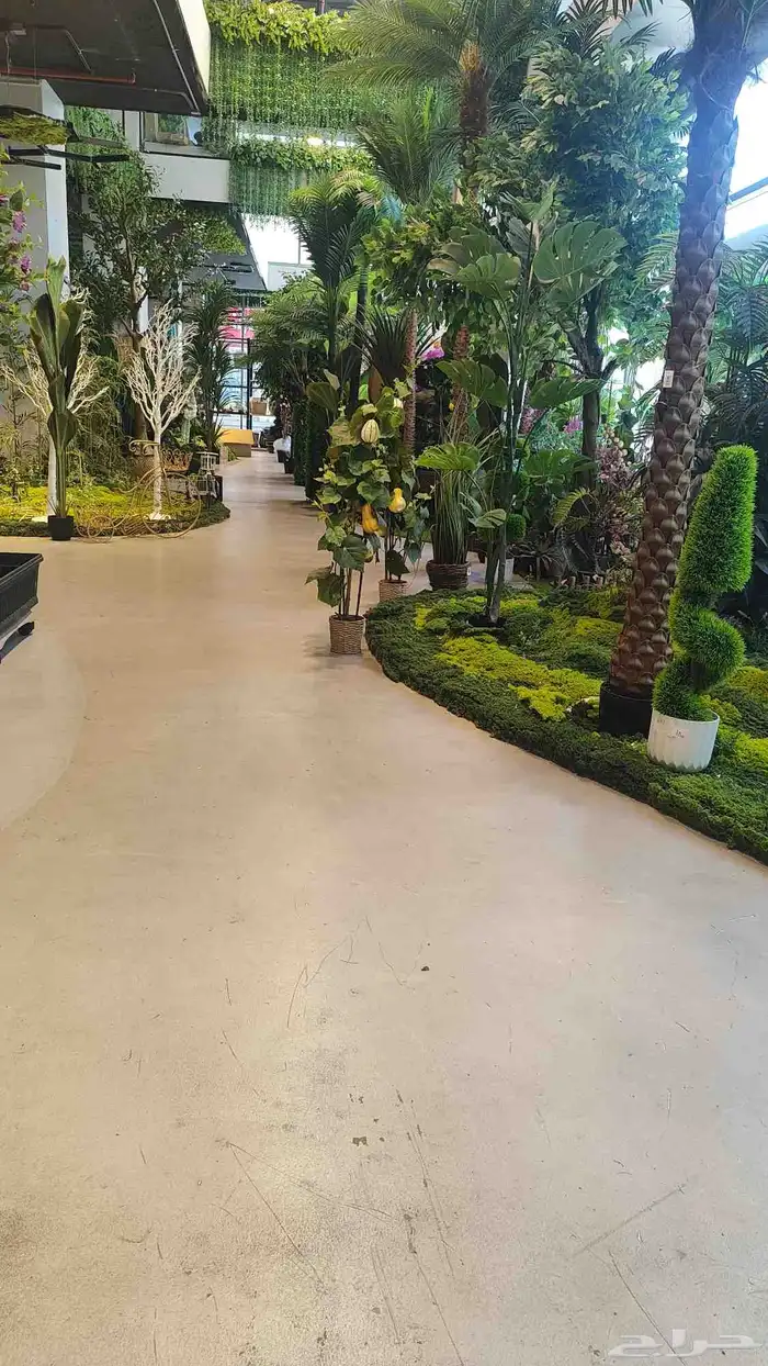 مطلوب غرفه عزاب 0