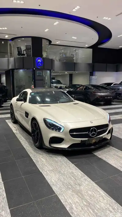 Mercedes AMG GTS index