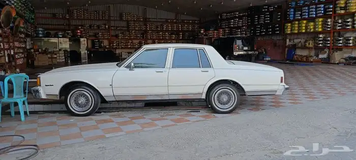 كابرس 84 3