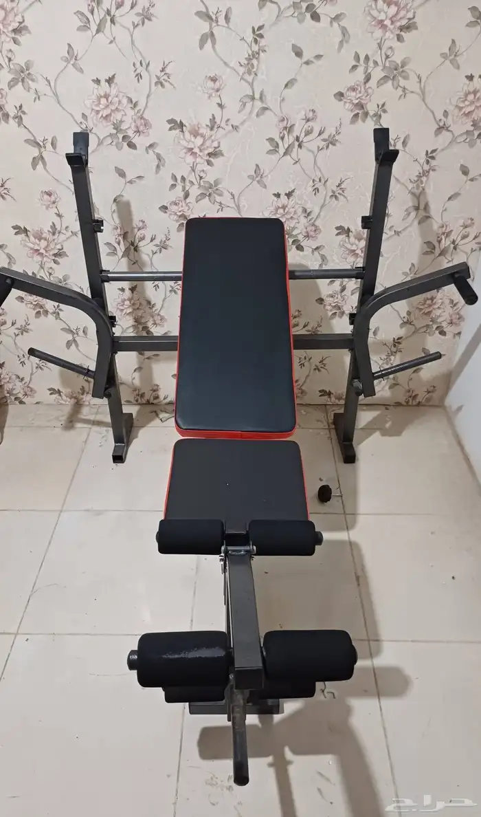 عده رياضه شنته حديد اثقال 50 كيلو 2