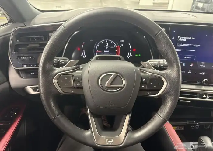 2023 Lexus RX 350 F SPORT 4