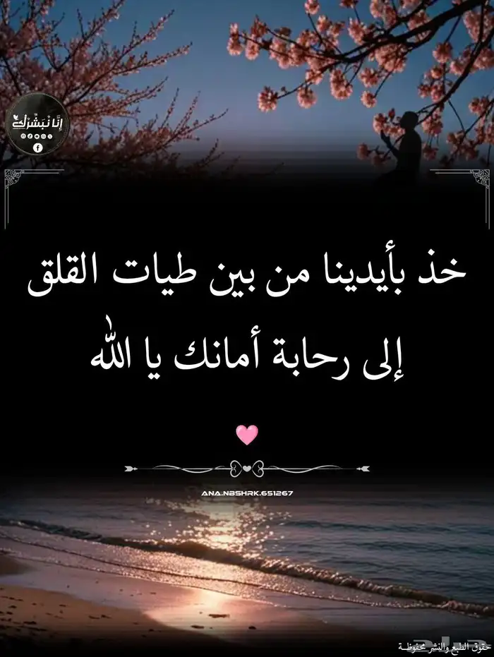 معلم تاسيس مصري ورياضيات متوسط وثانوي 0